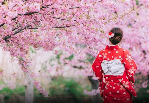  The Peach Blossom Spring - A Tale Lost and Found Across Time!