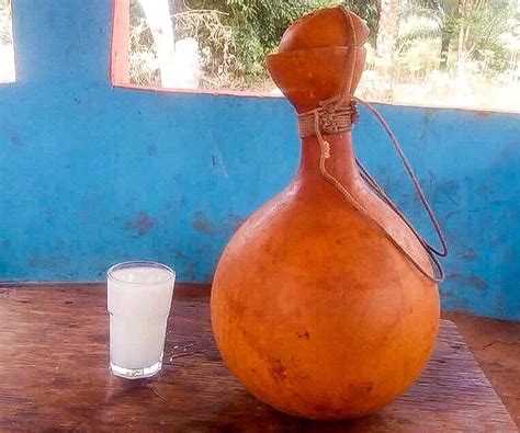 The Tortoise Who Loved Palm Wine! A Whimsical Nigerian Tale of Ambition, Deception, and Divine Justice.